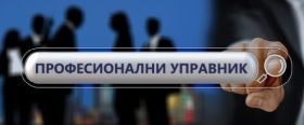 Професионални управник